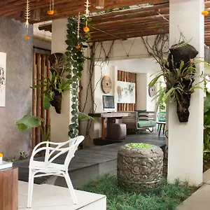 Grandmas 3* Seminyak (Bali)