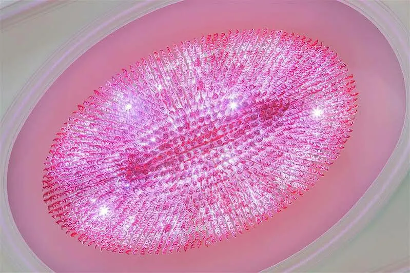 Le Meridien Makkah Mecca